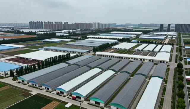 技术咨询如何赋能企业数字化转型